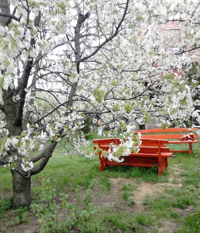 Ferienwohnung Valeria Vendeghaz Budakalász Exterior foto