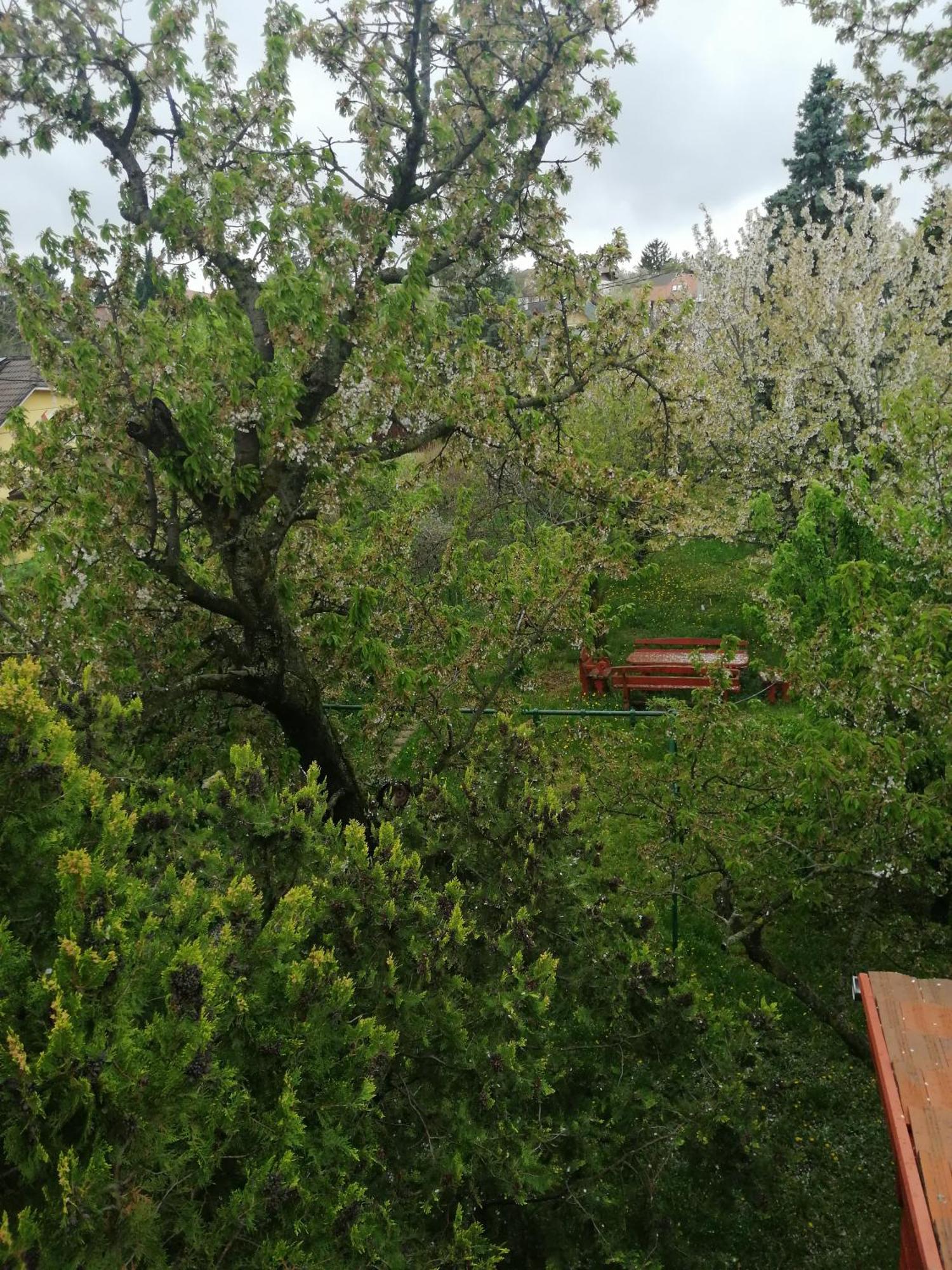 Ferienwohnung Valeria Vendeghaz Budakalász Exterior foto